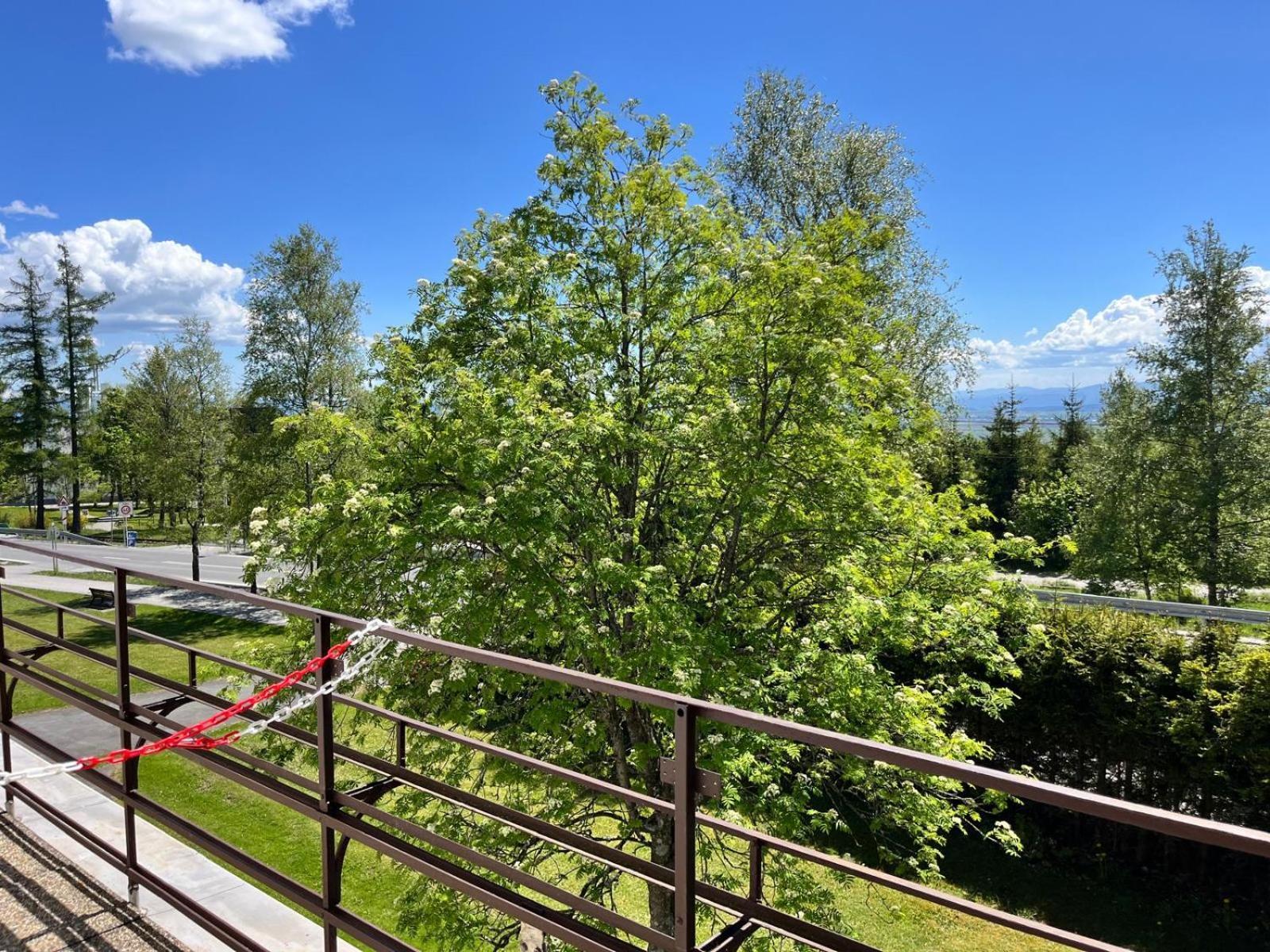 Penzion Villa Gerlach Vysoké Tatry Exteriör bild